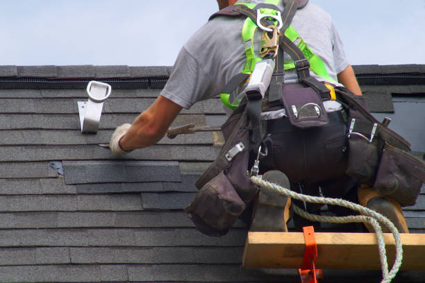 Best Chimney Flashing Repair  in Linln Park, CO