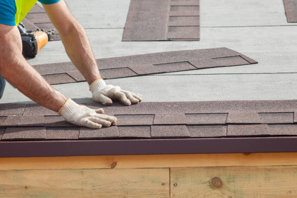 Best Skylight Installation and Repair  in Linln Park, CO